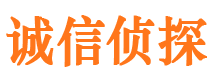 临安私家调查公司